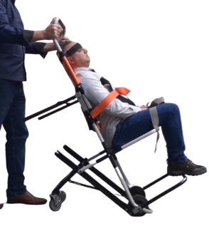 Pessoa na Cadeira Lince