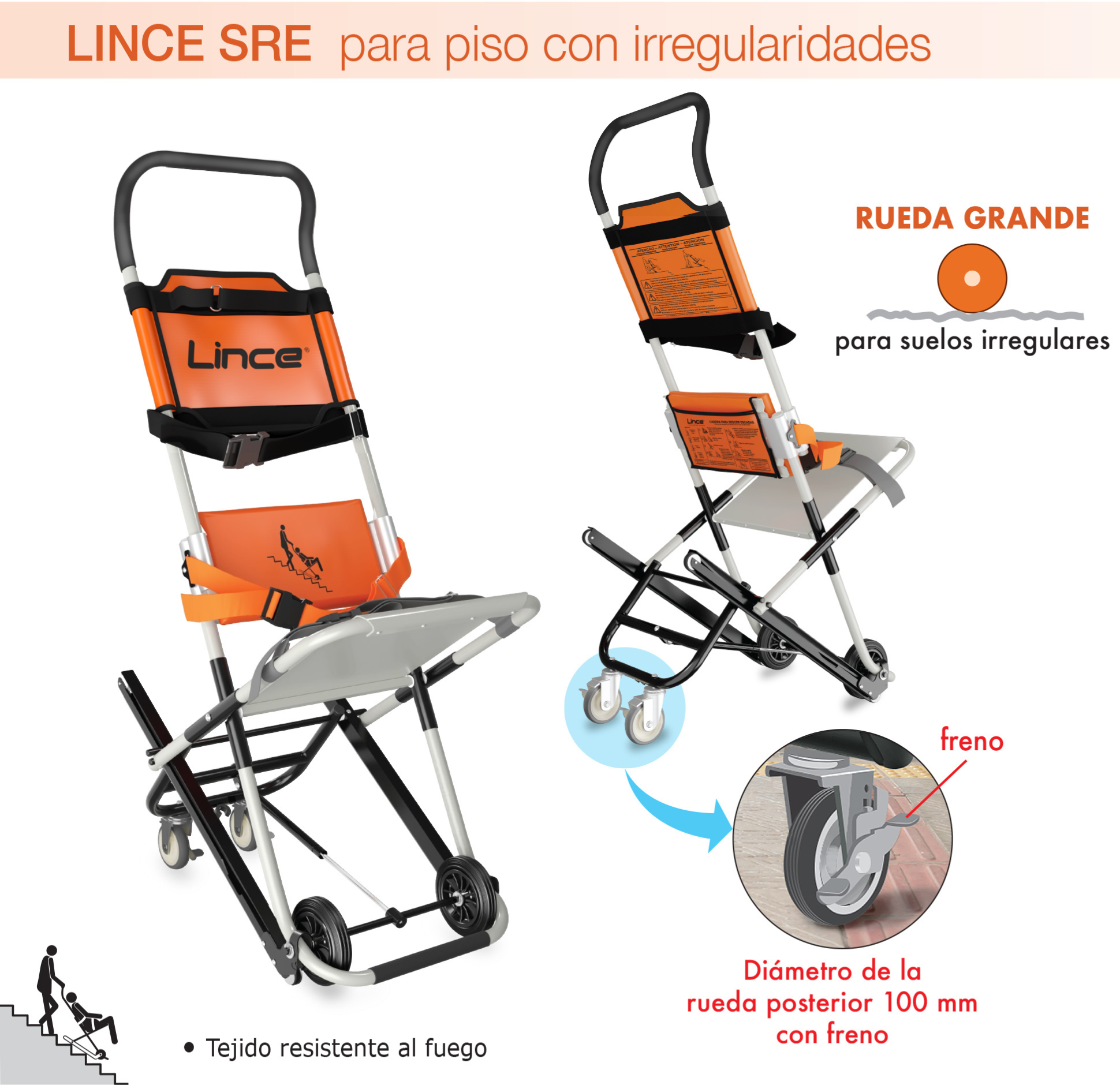 Lince SRE 2024 (espanhol)
